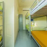 Coral Hostel