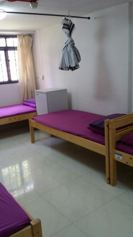 Hostel Lotus *