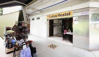 Lotus Hostel *