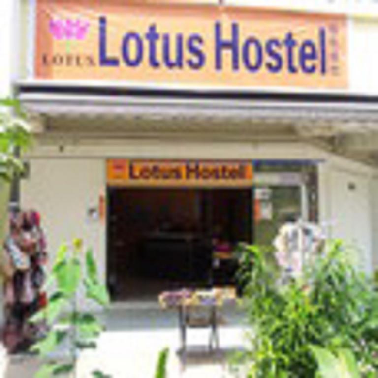 Lotus Hostel *