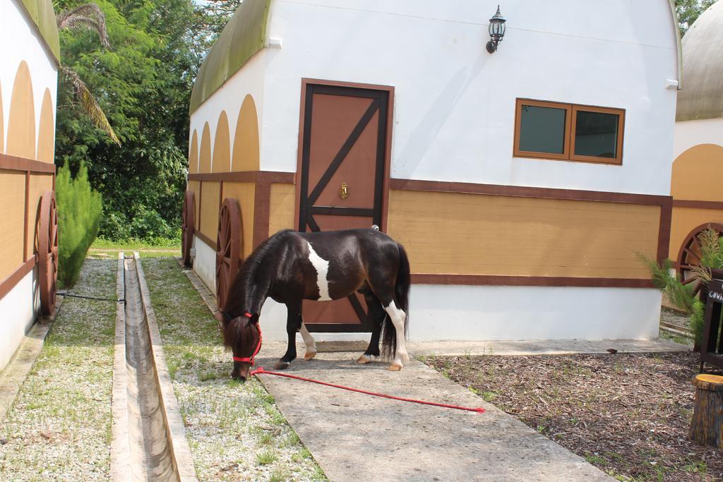 Punggol Ranch Singapore