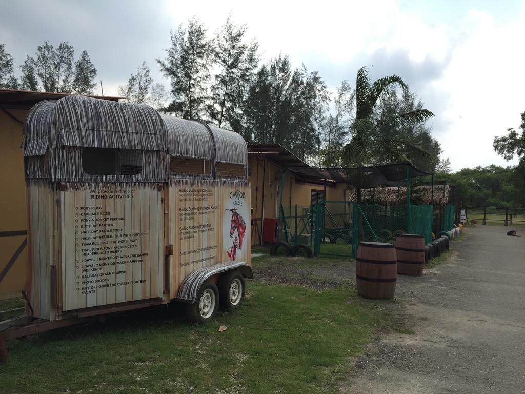 Punggol Ranch Singapore