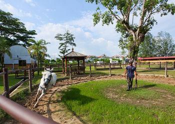 Farm stay Punggol Ranch