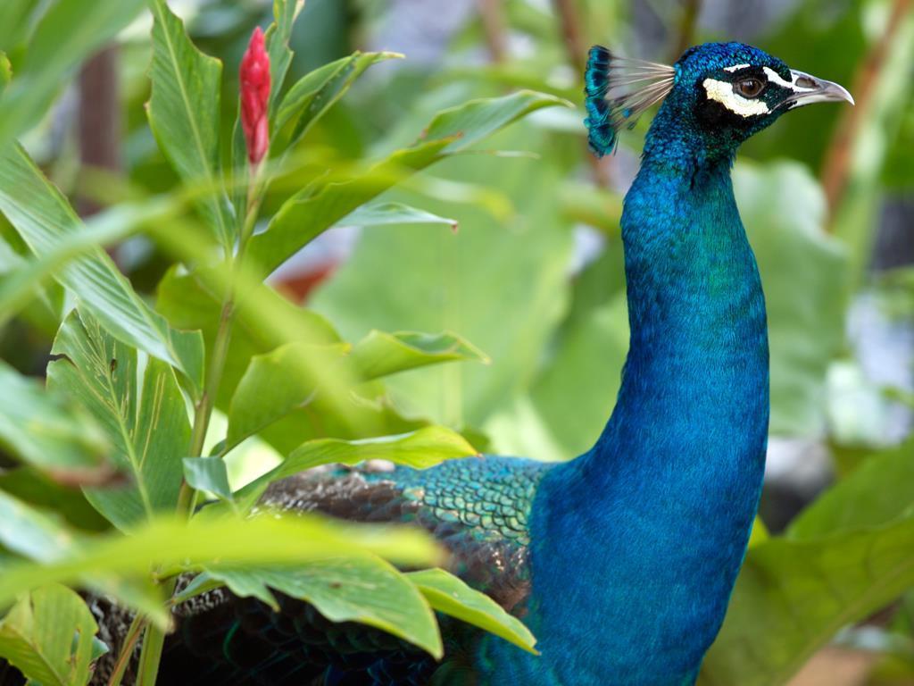 Amara Sanctuary Sentosa