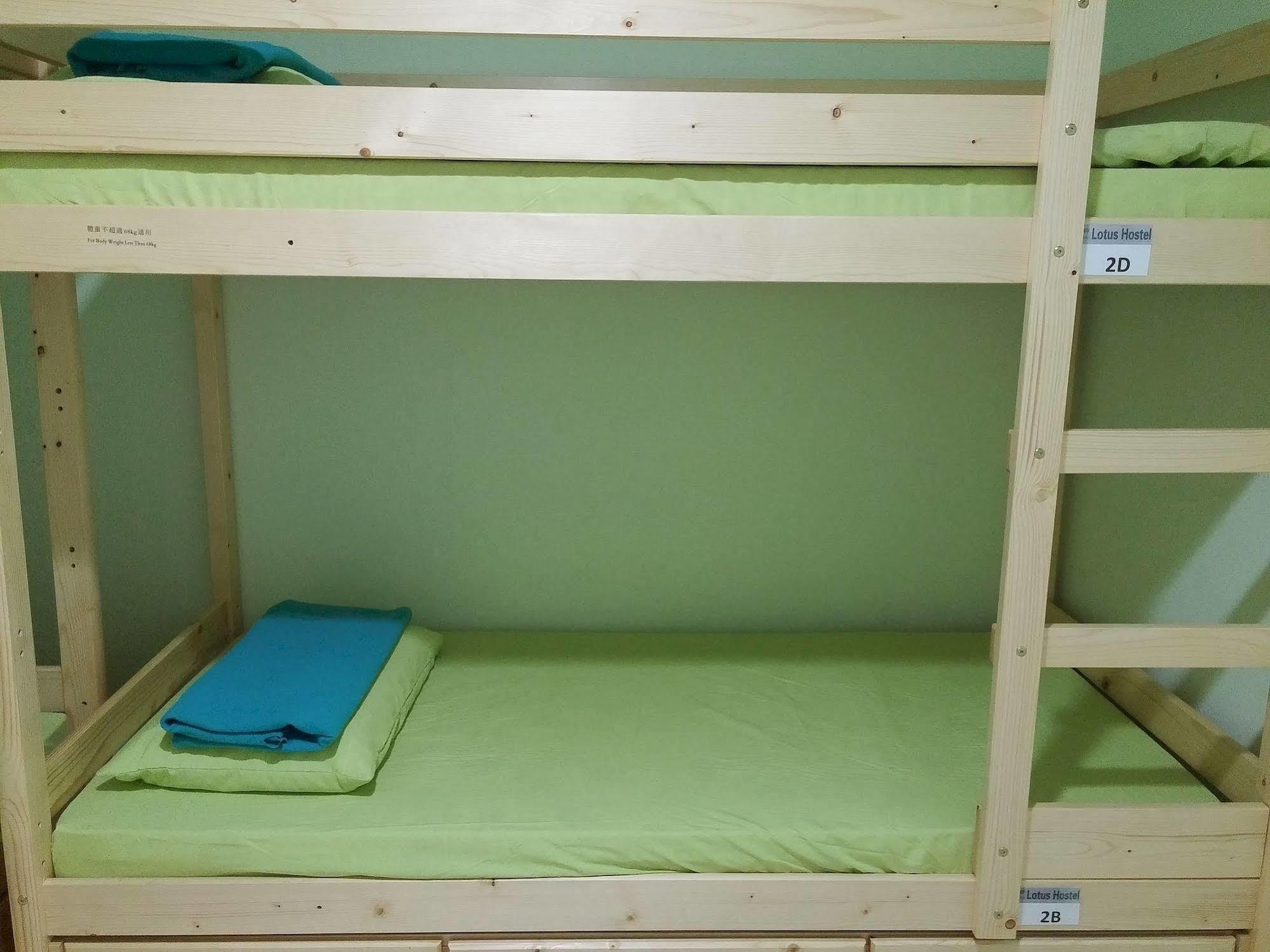 Hostel Lotus