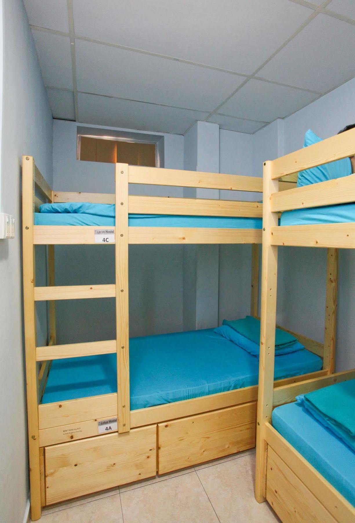 Hostel Lotus *