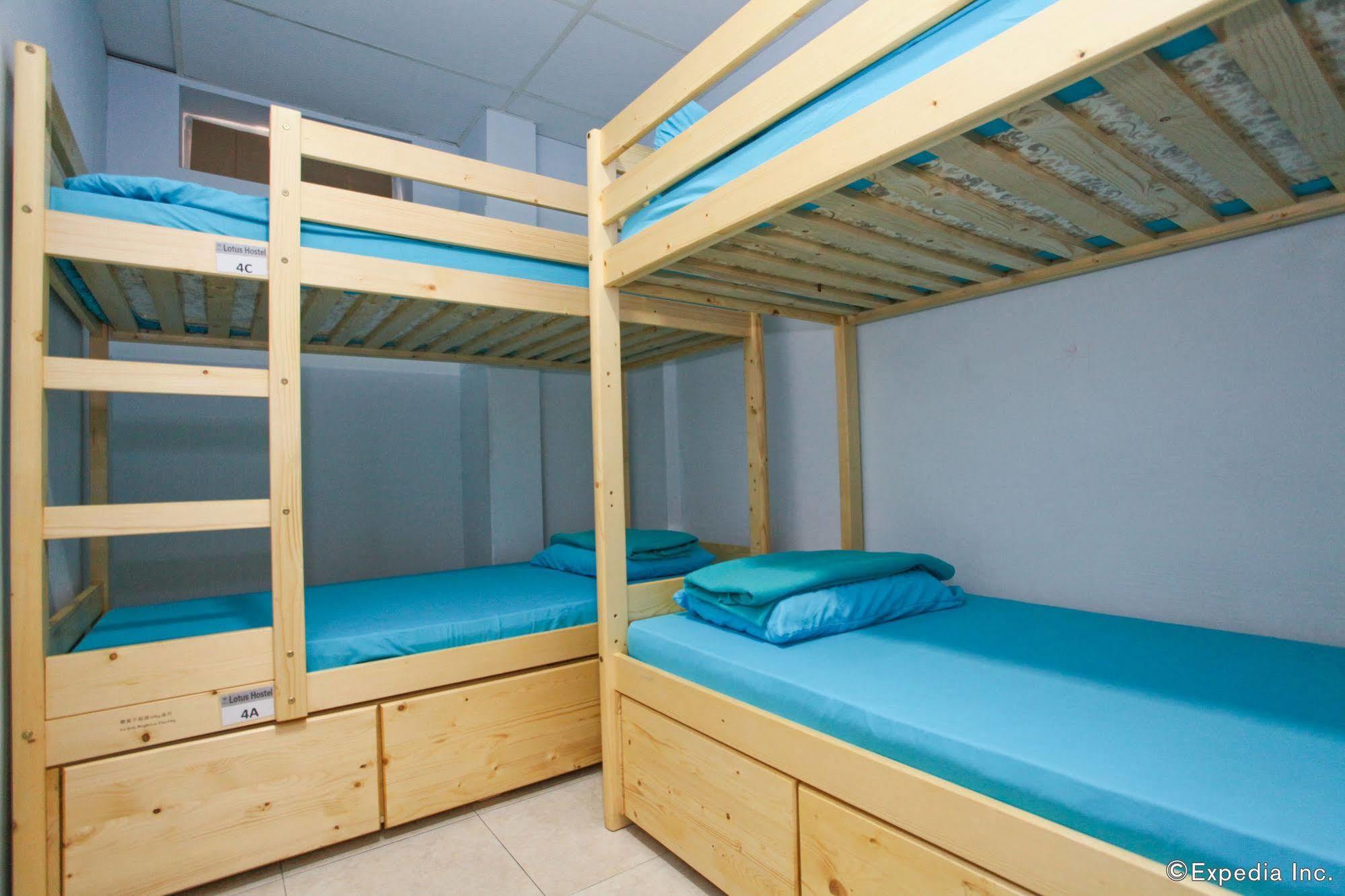 Hostel Lotus