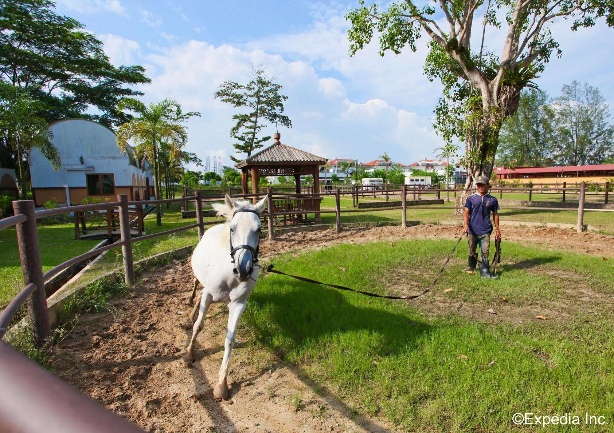 Punggol Ranch *