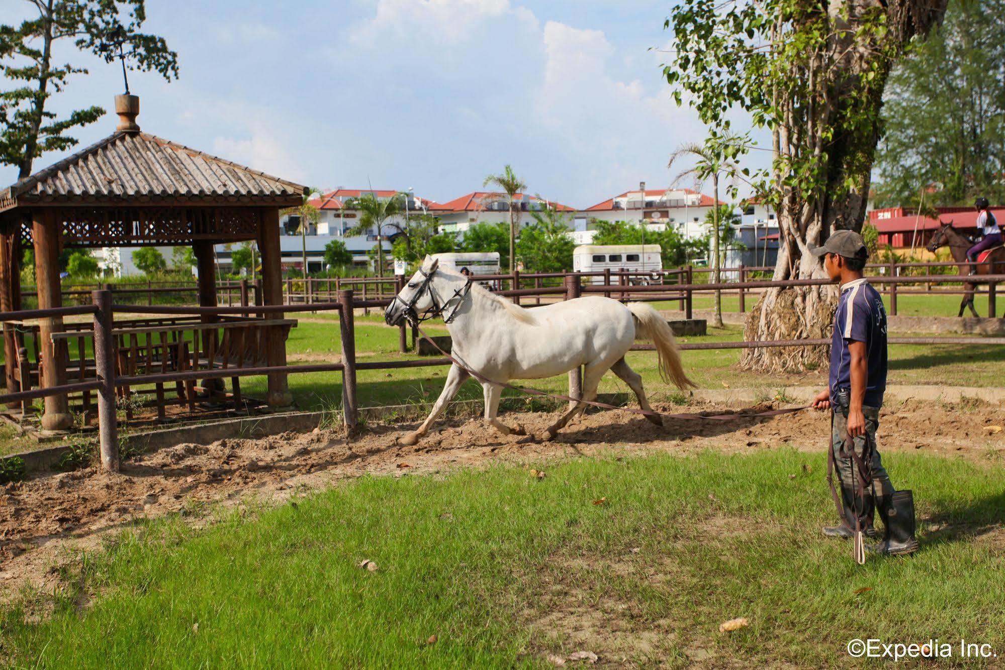 Punggol Ranch Farm stay Singapore