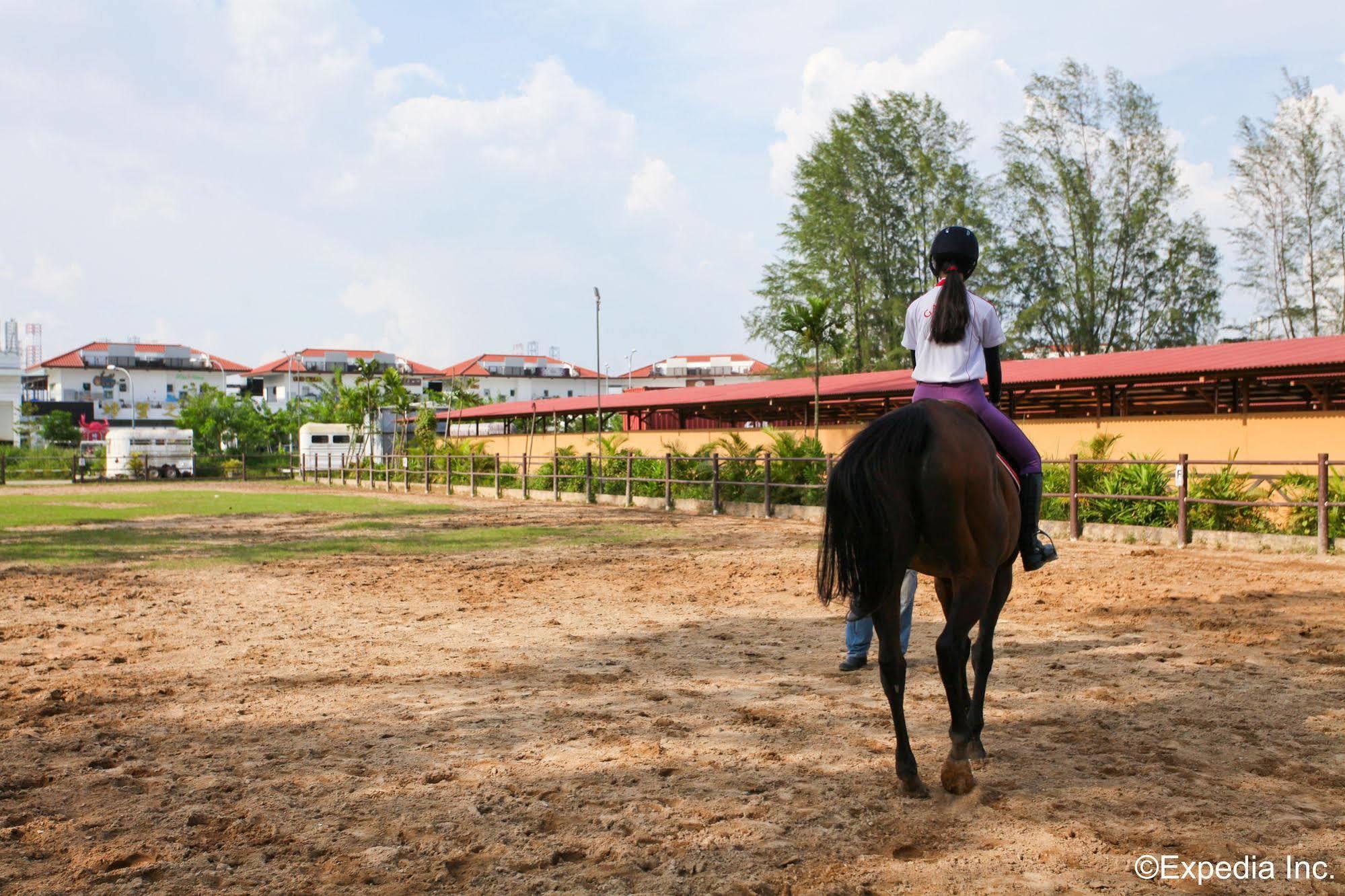 Farm stay Punggol Ranch