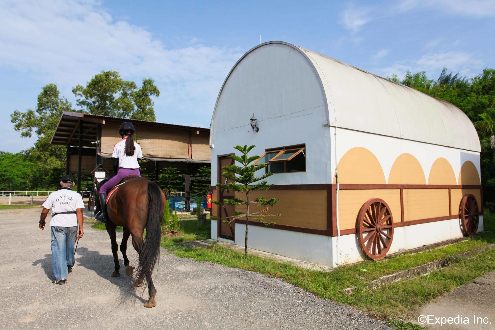 Farm stay Punggol Ranch *