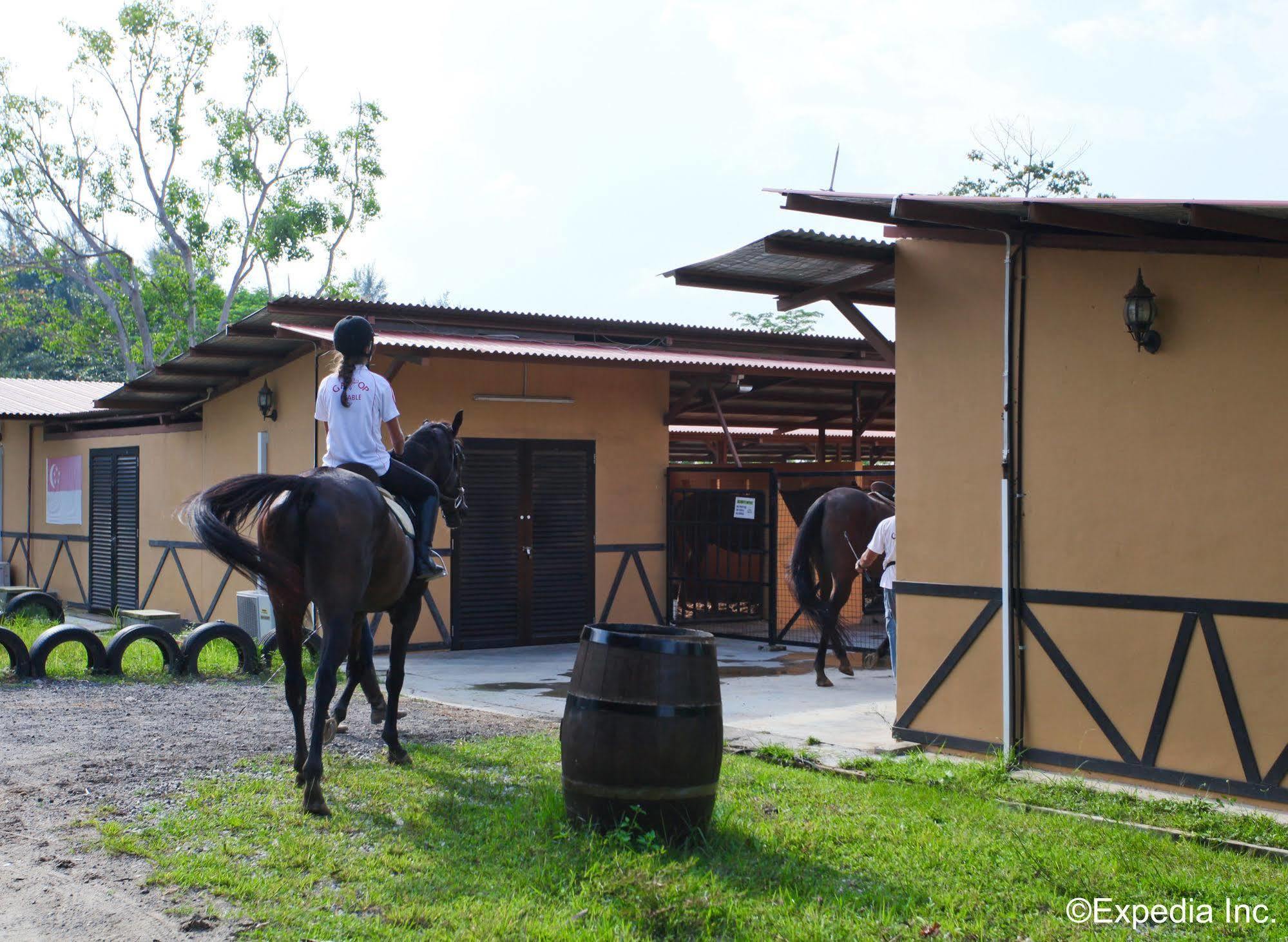 Punggol Ranch Farm stay Singapore