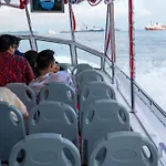 Albatross Speedboat Adventures