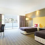 Zen Premium Orchard