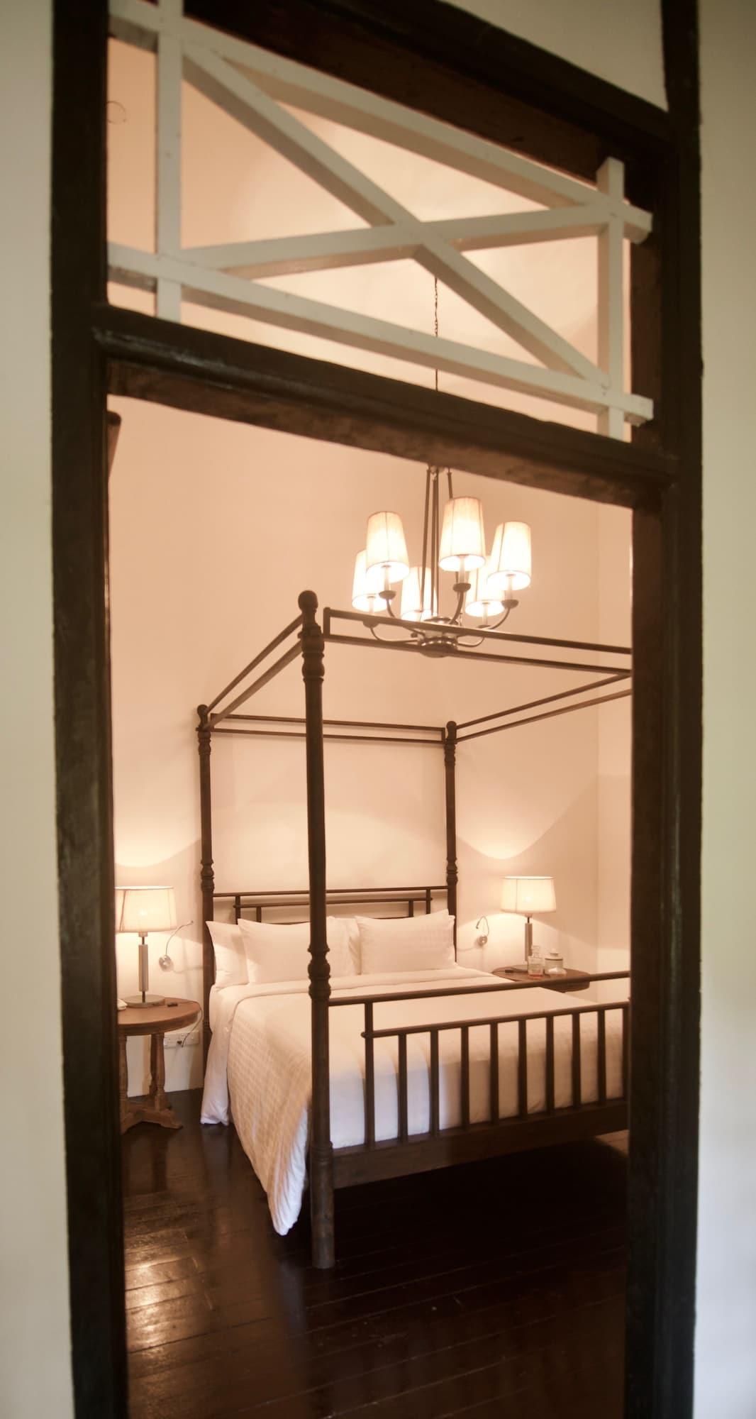 Labrador (adults Only) 5*