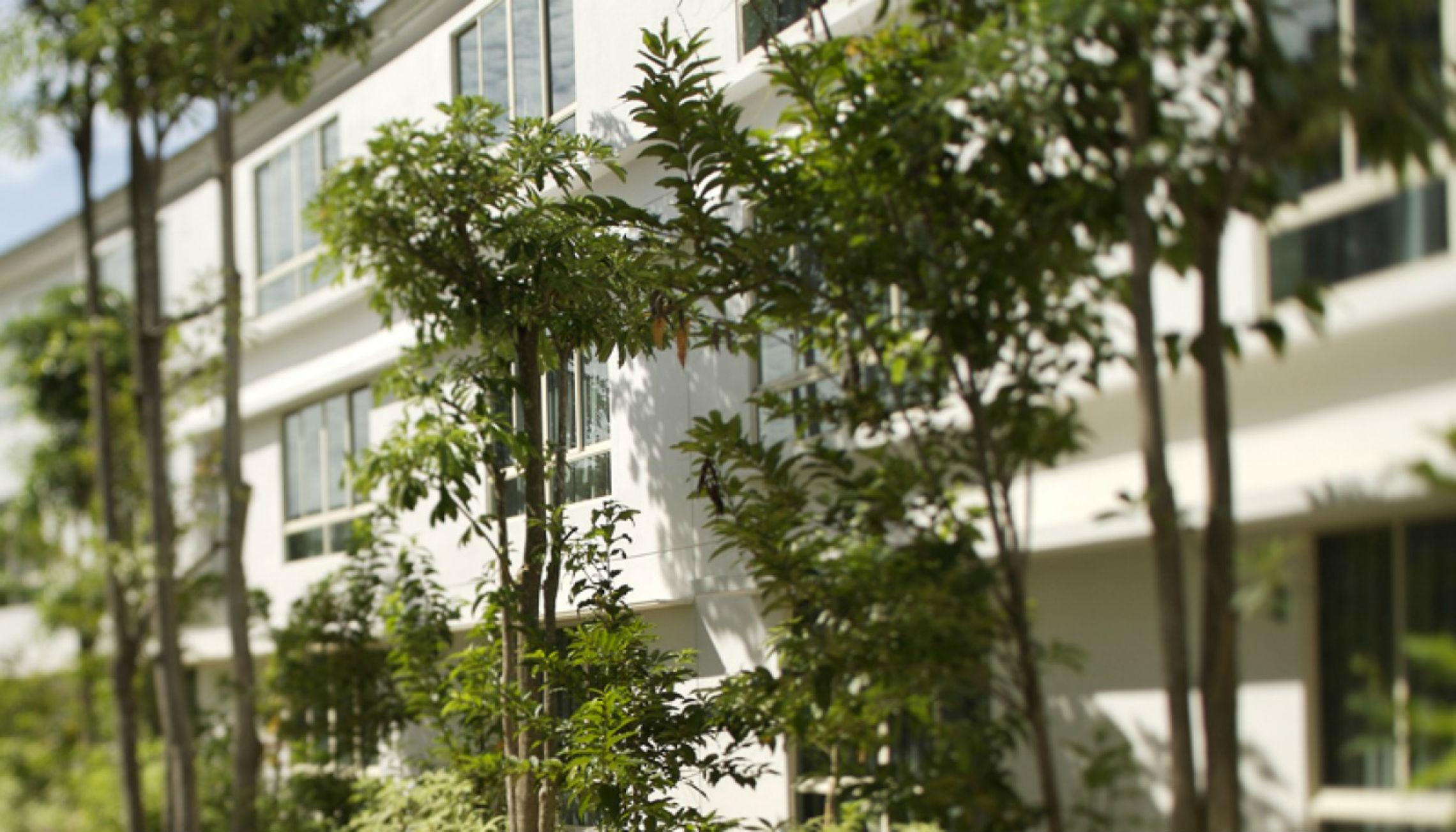 Amara Sanctuary Sentosa Resort 5*
