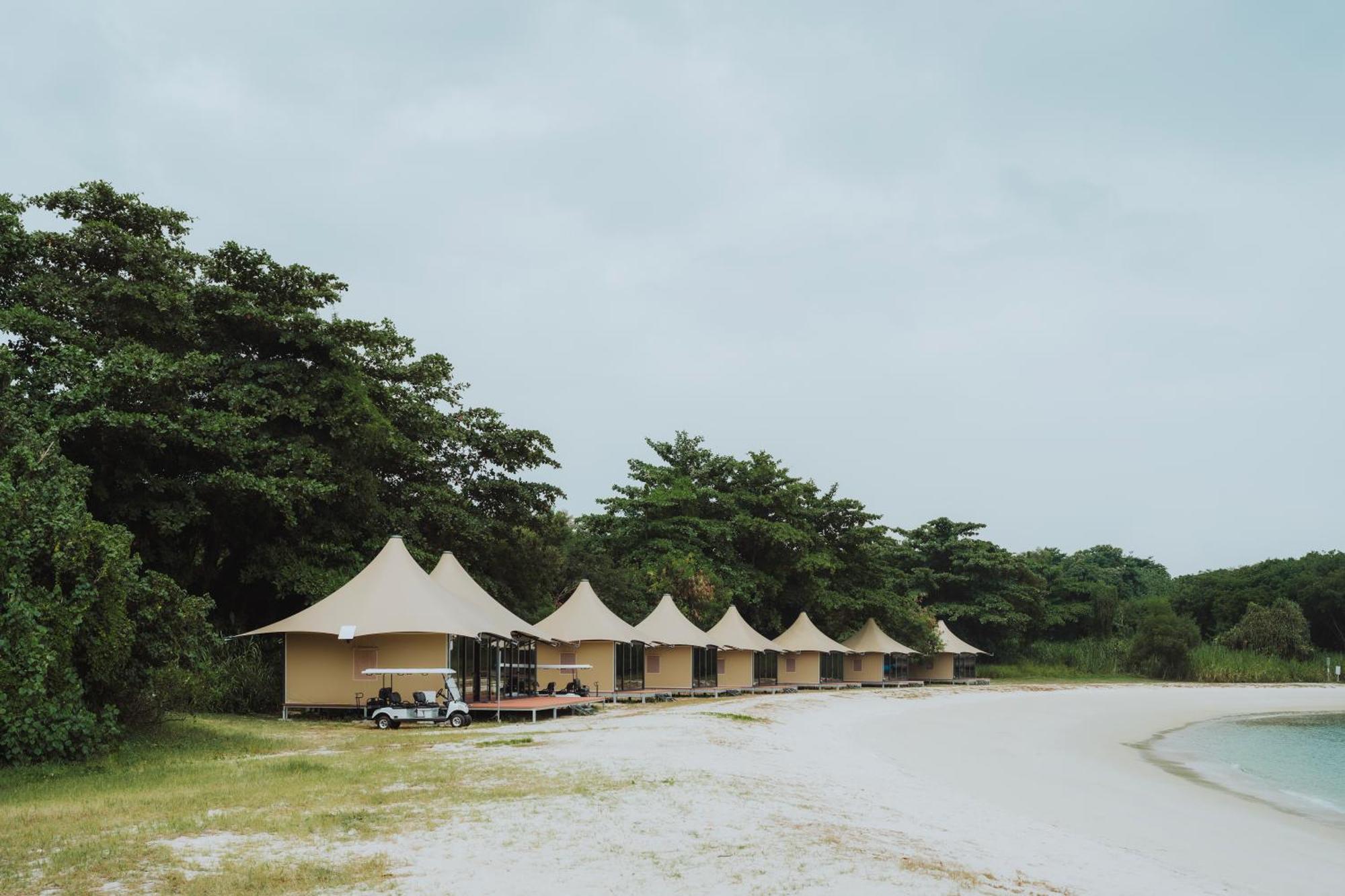 Luxury tent Into The Woods Life *
