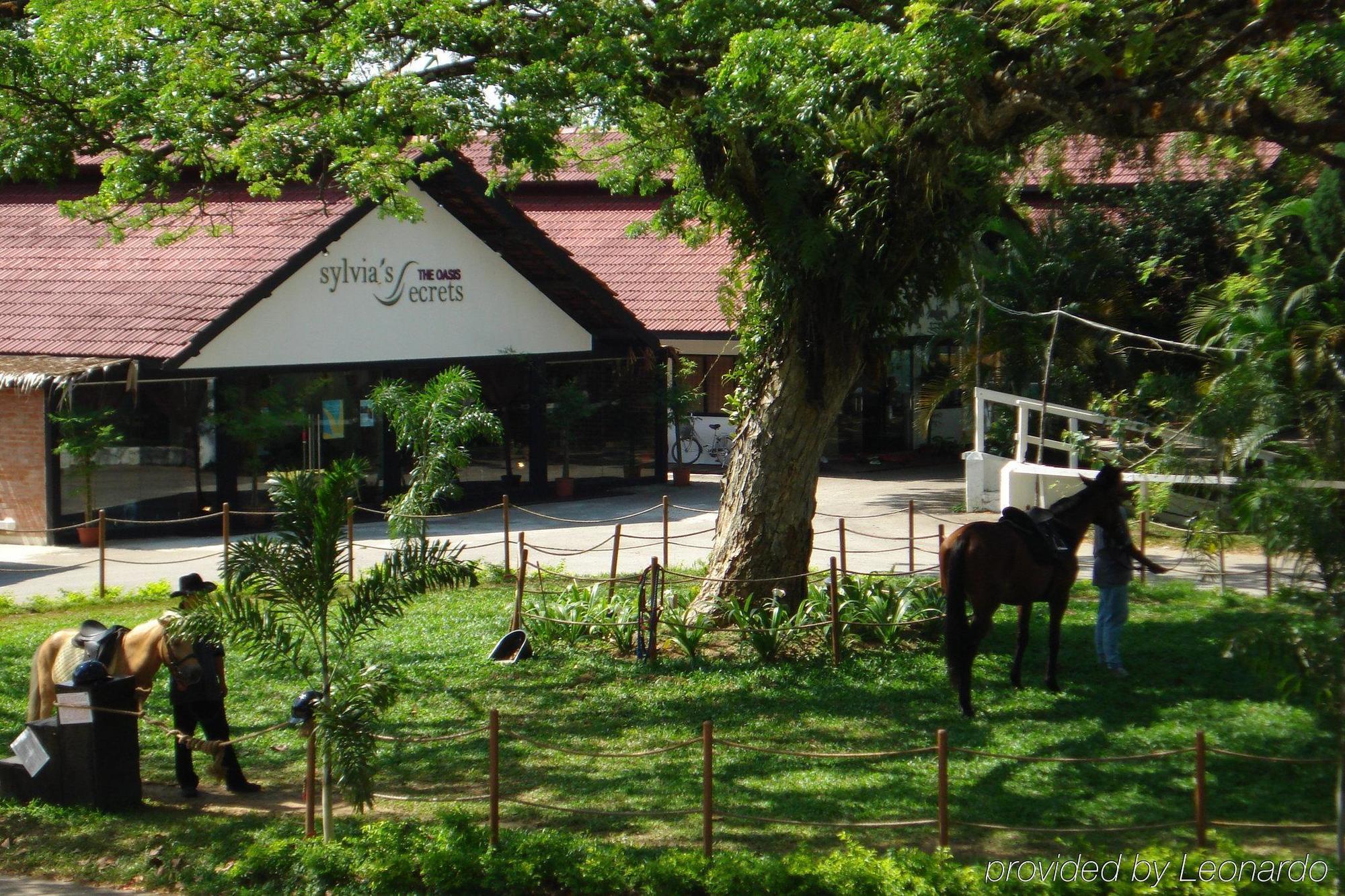Oyo 104 Pegasus Hotel
