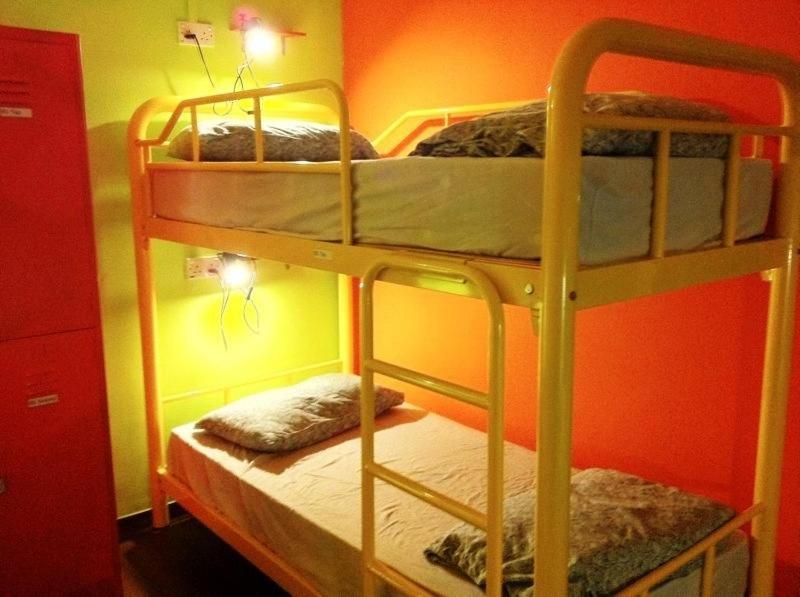Beary Nice! By A Beary Good Hostel