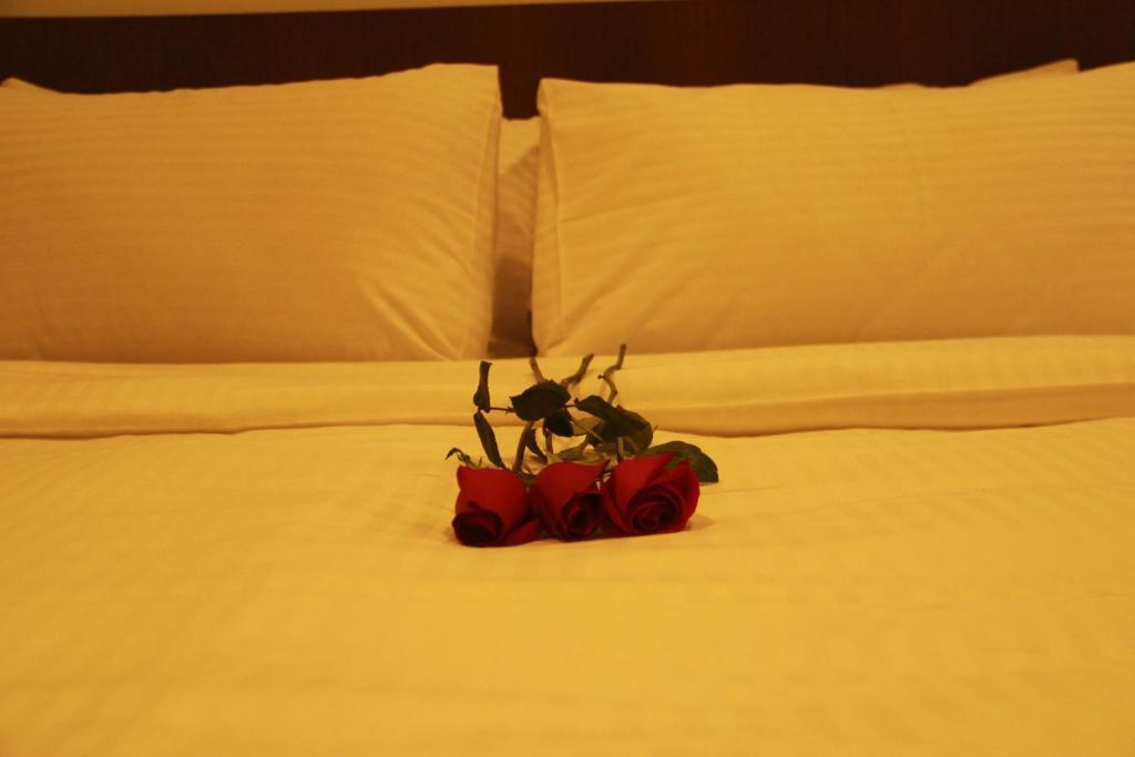 Cove D'arena Aparthotel 3*