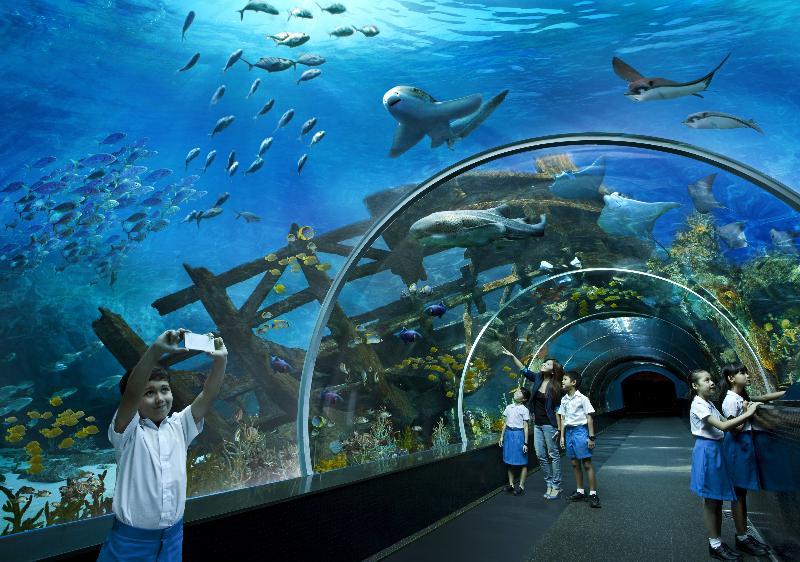 Resorts World Sentosa - Hotel 5*