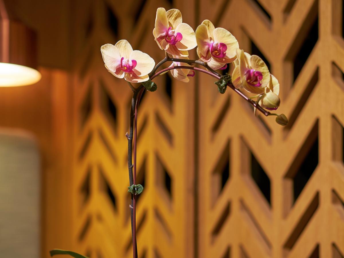 Hotel Oasia Downtown, By Far East Hospitality Singapore