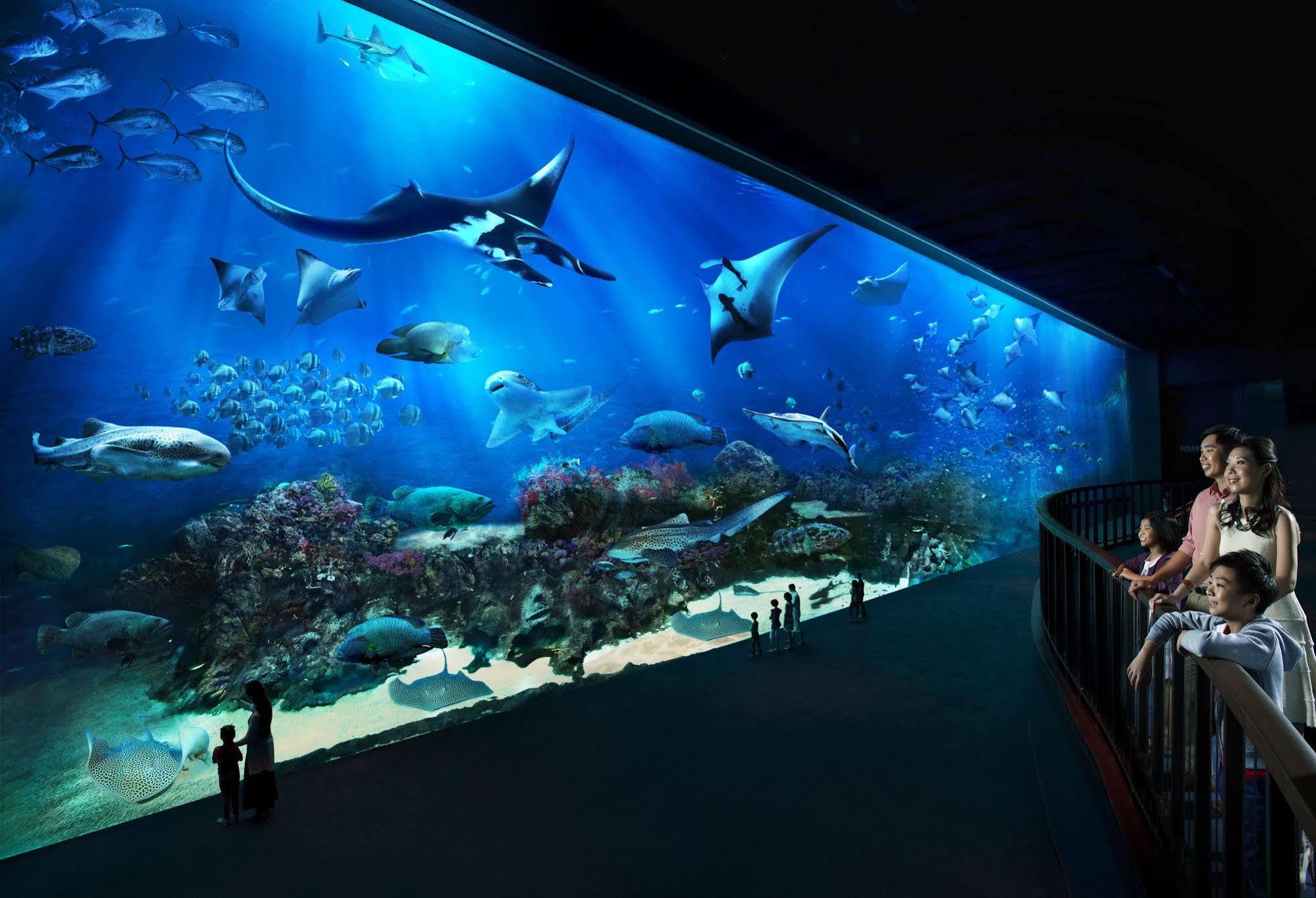 Resort Resorts World Sentosa - Hotel