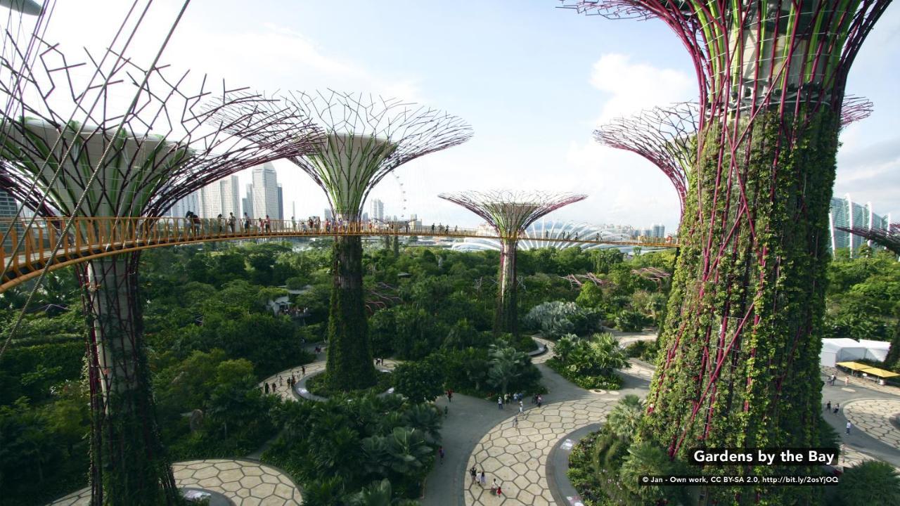 Zen Farrer Park Singapore