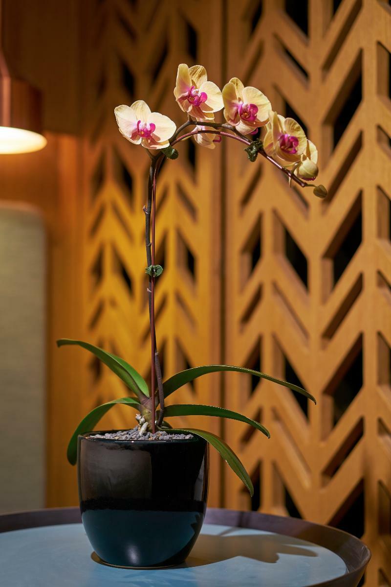 Oasia Downtown, By Far East Hospitality 4*