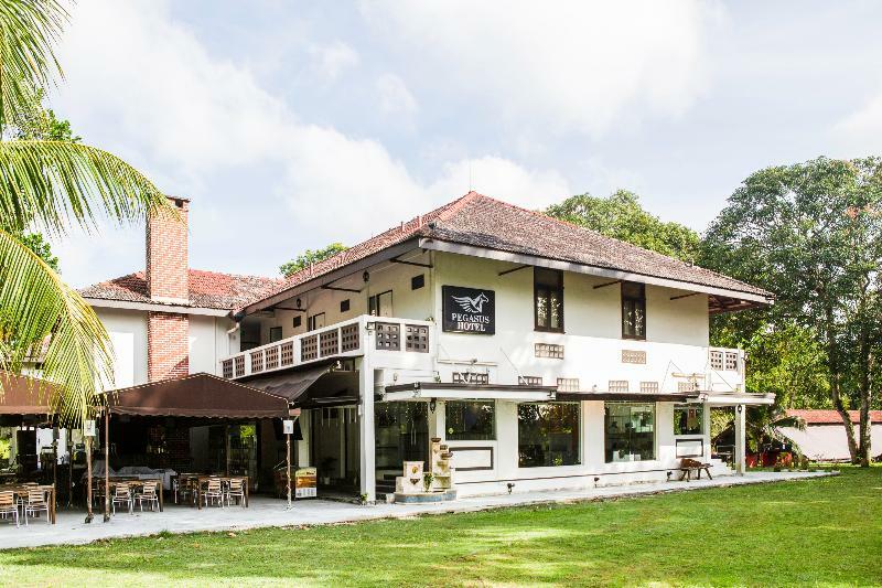 Pegasus Hotel 3*