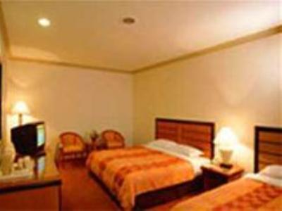 Ambassador Transit - Terminal 2 Hotel 3*