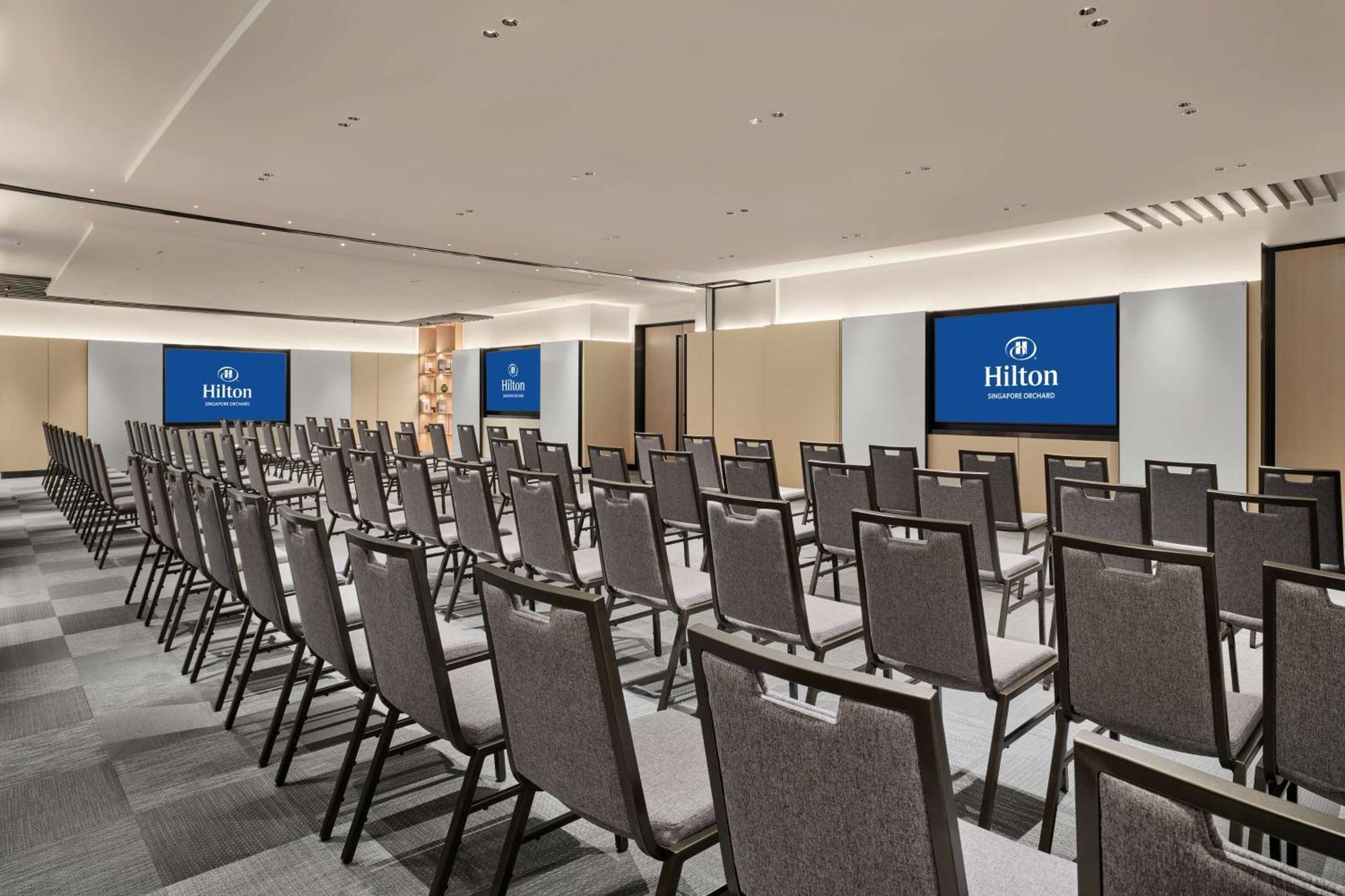 Hilton Orchard 5*