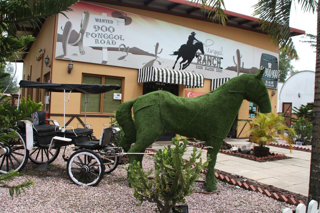 Punggol Ranch Farm stay *