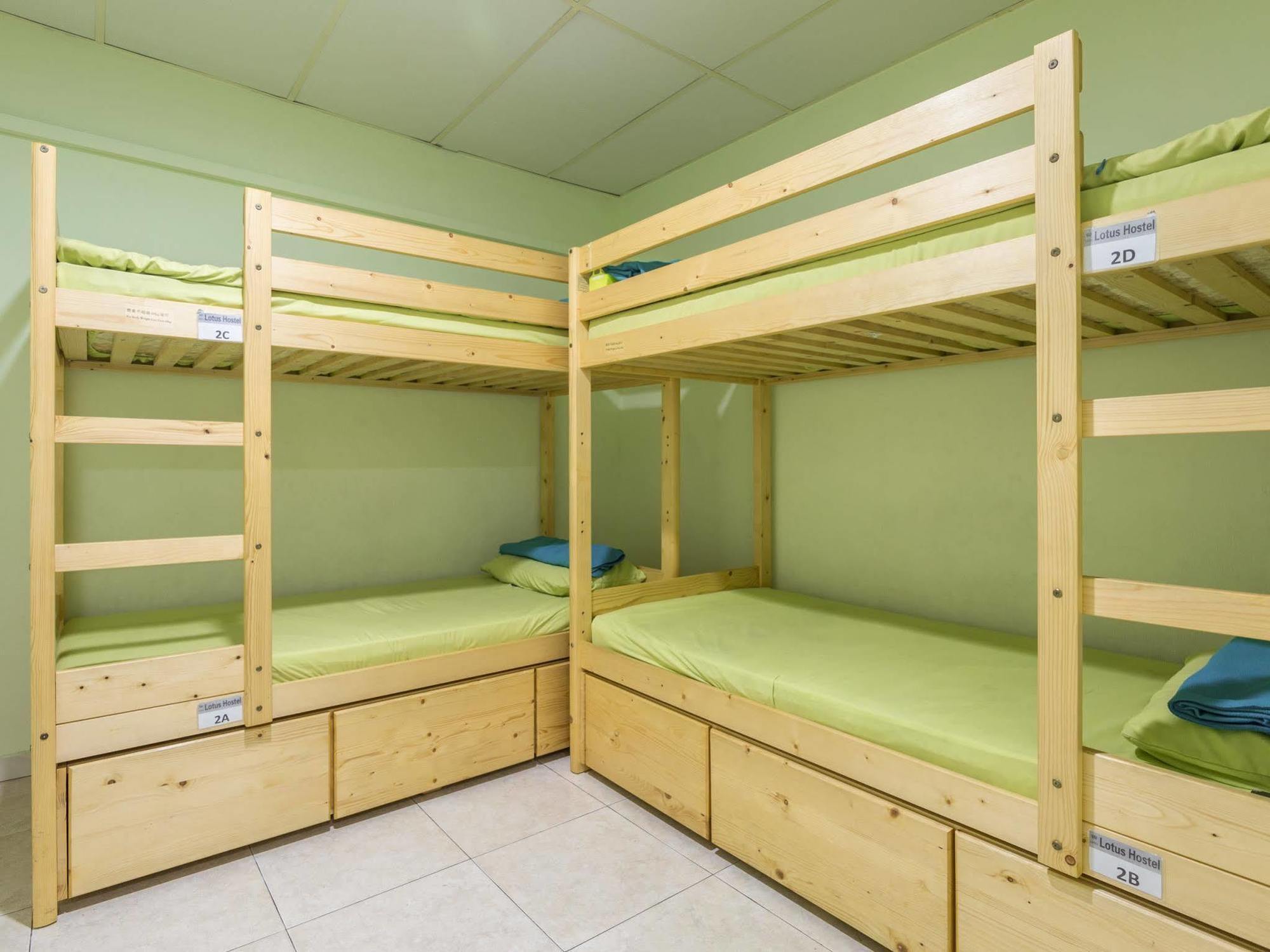 Lotus Hostel *