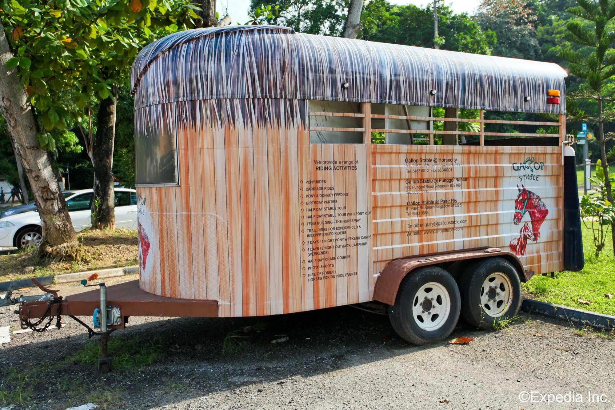 Punggol Ranch Farm stay