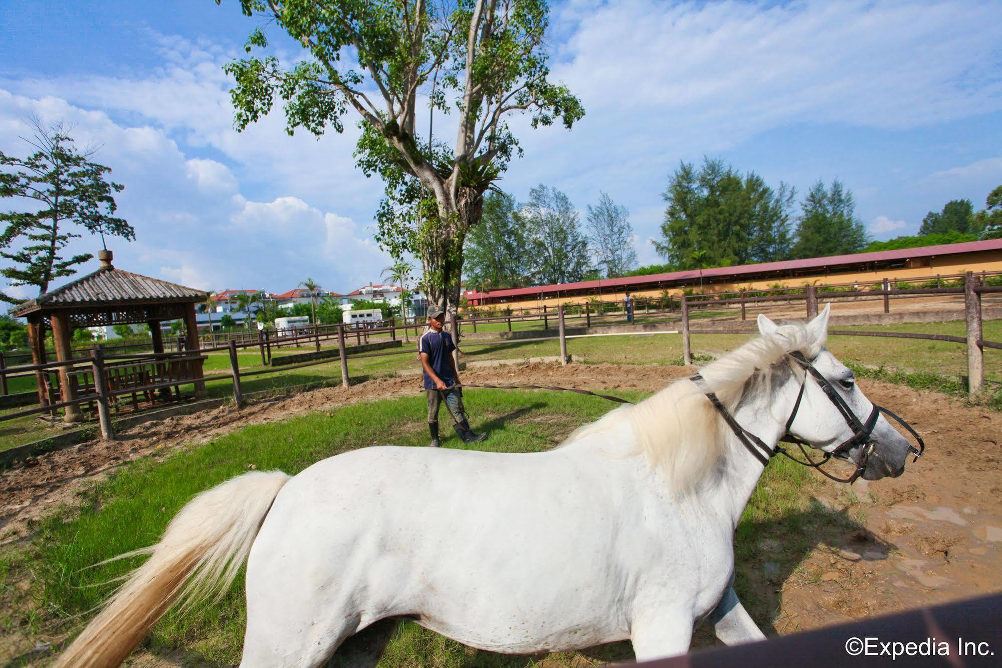 Farm stay Punggol Ranch *