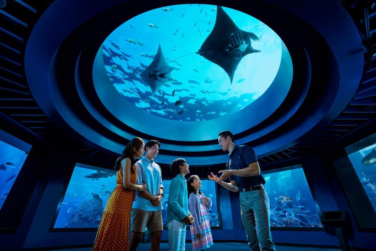 World Sentosa - Michael 5*