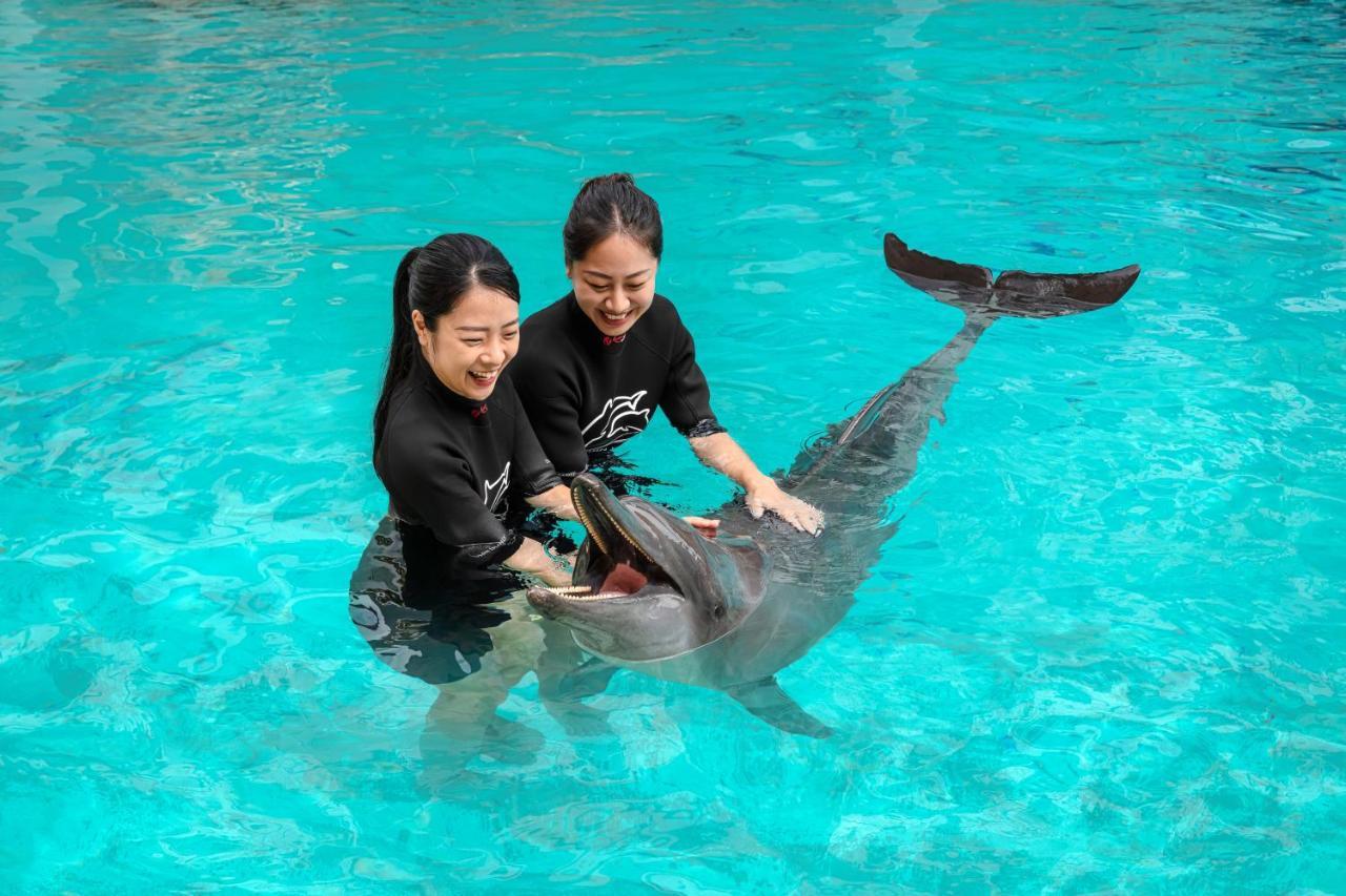 Resort World Sentosa - Michael 5*
