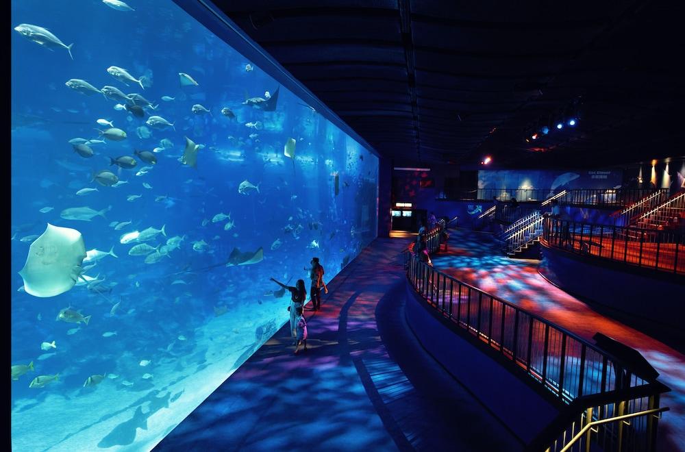 World Sentosa - Michael Resort