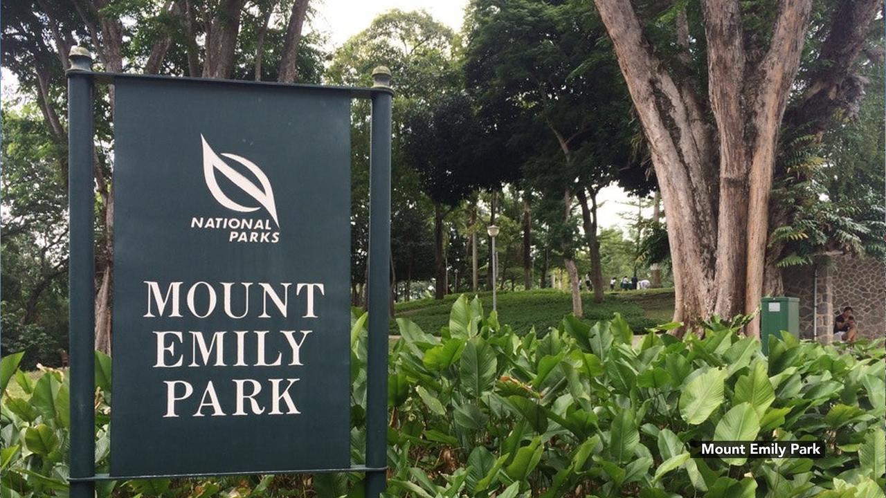 Zen Mackenzie Singapore